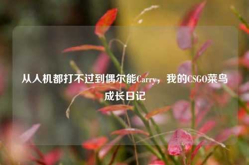 从人机都打不过到偶尔能Carry,我的CSGO菜鸟成长日记