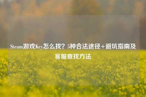 Steam游戏Key怎么找？5种合法途径+避坑指南及客服查找方法