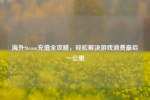 海外Steam充值全攻略，轻松解决游戏消费最后一公里