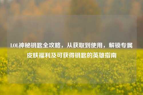 LOL神秘钥匙全攻略，从获取到使用，解锁专属皮肤福利及可获得钥匙的英雄指南