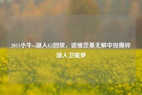 2011小牛vs湖人G2回放，诺维茨基无解中投撕碎湖人卫冕梦
