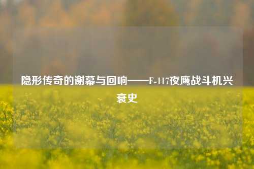 隐形传奇的谢幕与回响——F-117夜鹰战斗机兴衰史