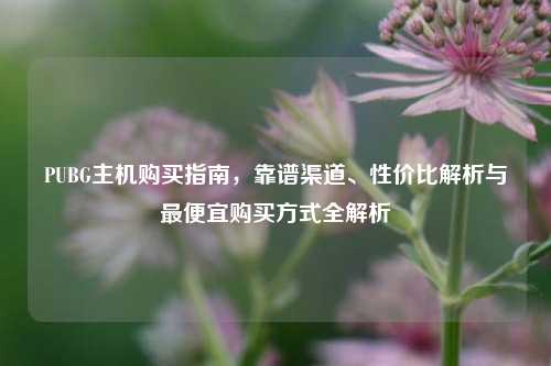 PUBG主机购买指南，靠谱渠道、性价比解析与最便宜购买方式全解析