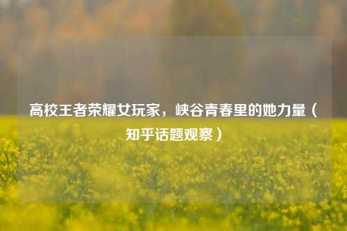 高校王者荣耀女玩家，峡谷青春里的她力量（知乎话题观察）