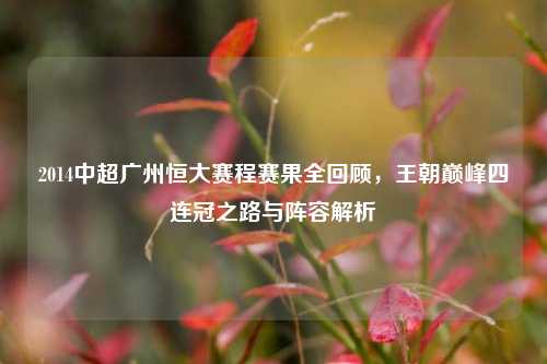 2014中超广州恒大赛程赛果全回顾，王朝巅峰四连冠之路与阵容解析