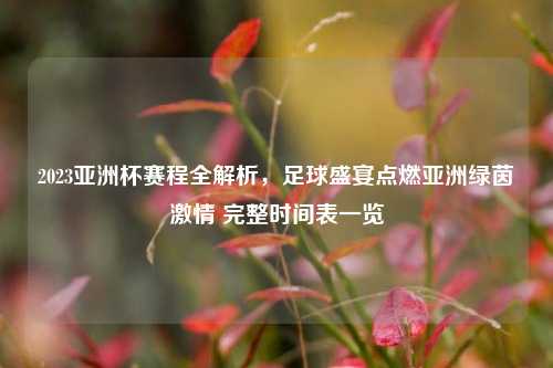 2023亚洲杯赛程全解析，足球盛宴点燃亚洲绿茵激情 完整时间表一览