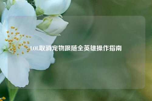 LOL取消宠物跟随全英雄操作指南