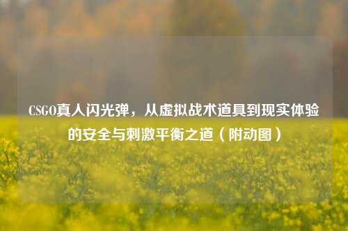 CSGO真人闪光弹,从虚拟战术道具到现实体验的安全与刺激平衡之道(附动图)