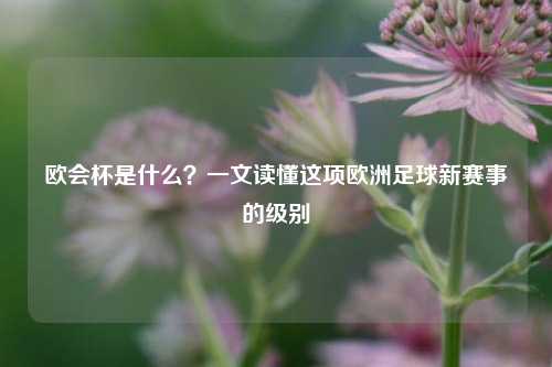 欧会杯是什么？一文读懂这项欧洲足球新赛事的级别
