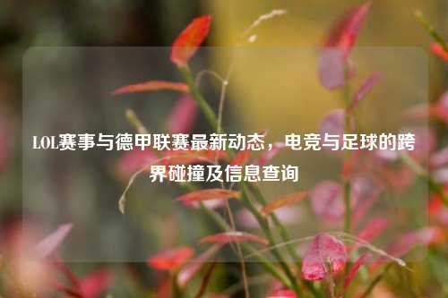 LOL赛事与德甲联赛最新动态，电竞与足球的跨界碰撞及信息查询