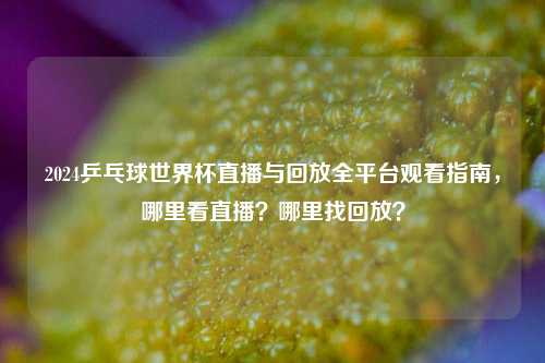 2024乒乓球世界杯直播与回放全平台观看指南，哪里看直播？哪里找回放？