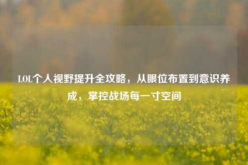 LOL个人视野提升全攻略，从眼位布置到意识养成，掌控战场每一寸空间