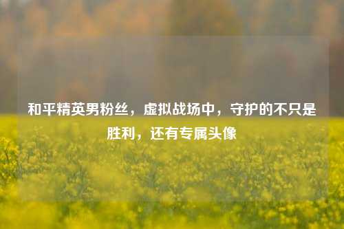 和平精英男粉丝，虚拟战场中，守护的不只是胜利，还有专属头像