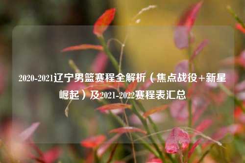 2020-2021辽宁男篮赛程全解析（焦点战役+新星崛起）及2021-2022赛程表汇总