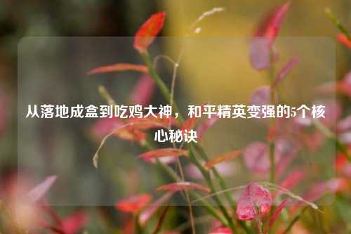 从落地成盒到吃鸡大神，和平精英变强的5个核心秘诀