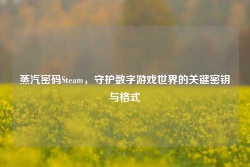 蒸汽密码Steam，守护数字游戏世界的关键密钥与格式
