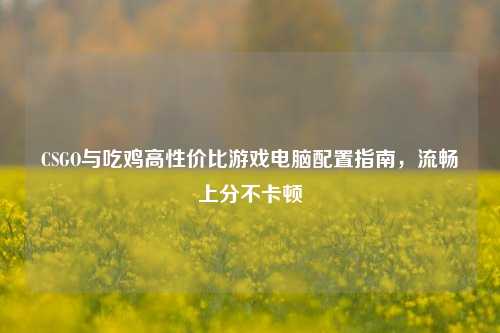 CSGO与吃鸡高性价比游戏电脑配置指南,流畅上分不卡顿