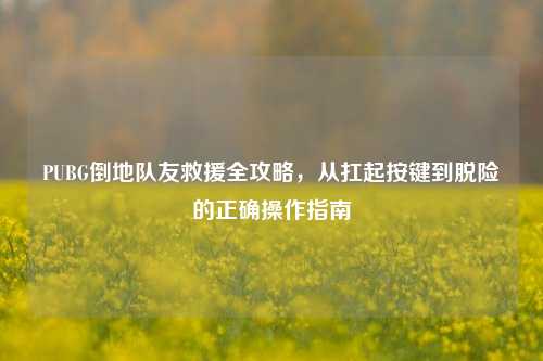 PUBG倒地队友救援全攻略，从扛起按键到脱险的正确操作指南