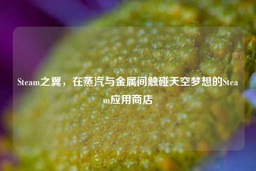 Steam之翼，在蒸汽与金属间触碰天空梦想的Steam应用商店