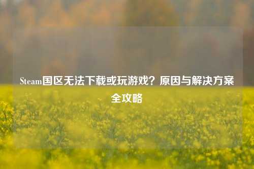 Steam国区无法下载或玩游戏？原因与解决方案全攻略