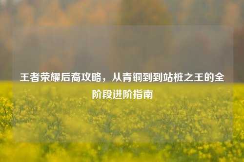 王者荣耀后裔攻略,从青铜到到站桩之王的全阶段进阶指南