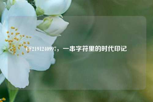 CF2191240997，一串字符里的时代印记