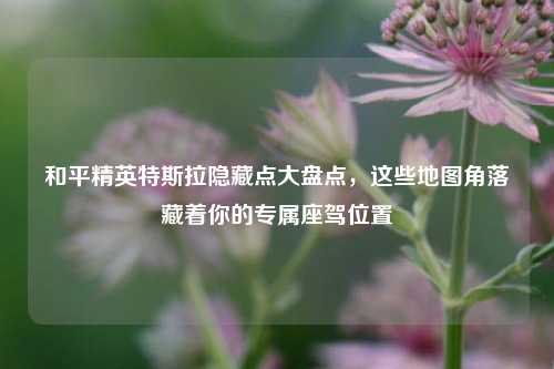 和平精英特斯拉隐藏点大盘点，这些地图角落藏着你的专属座驾位置