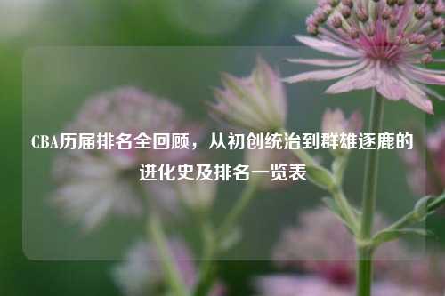 CBA历届排名全回顾,从初创统治到群雄逐鹿的进化史及排名一览表