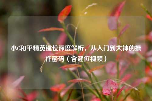 小C和平精英键位深度解析，从入门到大神的操作密码（含键位视频）