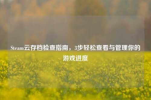 Steam云存档检查指南,3步轻松查看与管理你的游戏进度
