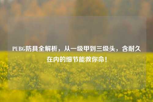 PUBG防具全解析，从一级甲到三级头，含耐久在内的细节能救你命！