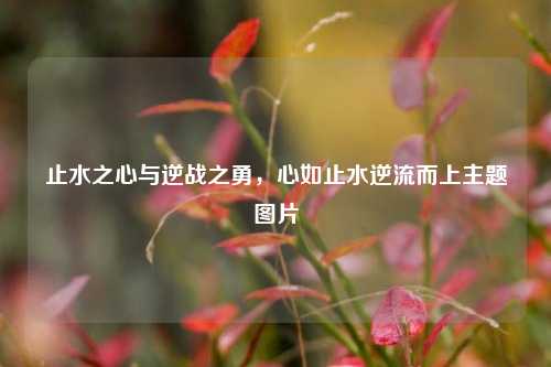 止水之心与逆战之勇，心如止水逆流而上主题图片