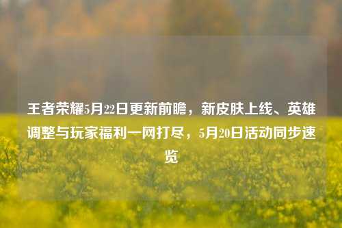 王者荣耀5月22日更新前瞻,新皮肤上线、英雄调整与玩家福利一网打尽,5月20日活动同步速览