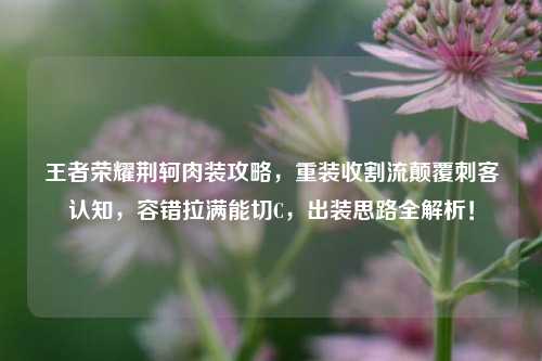 王者荣耀荆轲肉装攻略，重装收割流颠覆刺客认知，容错拉满能切C，出装思路全解析！