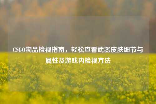 CSGO物品检视指南，轻松查看武器皮肤细节与属性及游戏内检视方法