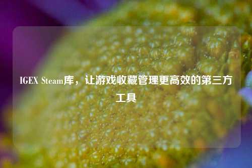 IGEX Steam库,让游戏收藏管理更高效的第三方工具