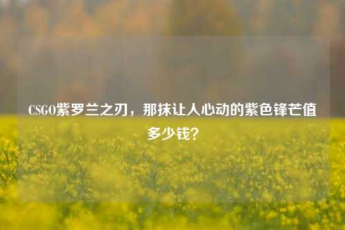 CSGO紫罗兰之刃,那抹让人心动的紫色锋芒值多少钱?