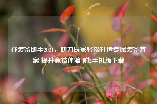 CF装备助手2021,助力玩家轻松打造专属装备方案 提升竞技体验 附2手机版下载