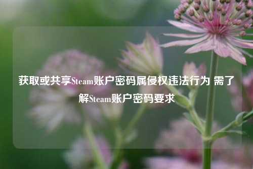 获取或共享Steam账户密码属侵权违法行为 需了解Steam账户密码要求