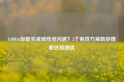 COD16加载完成掉线或闪退?5个有效方案助你摆脱连接困扰