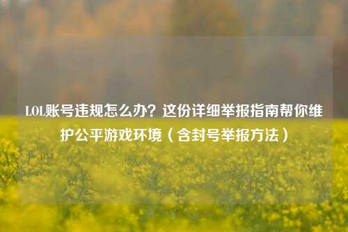 LOL账号违规怎么办?这份详细举报指南帮你维护公平游戏环境(含封号举报方法)