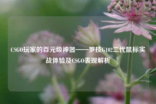 CSGO玩家的百元级神器——罗技G102二代鼠标实战体验及CSGO表现解析