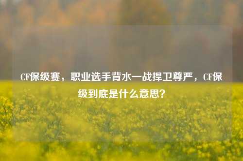 CF保级赛,职业选手背水一战捍卫尊严,CF保级到底是什么意思?