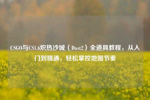 CSGO与CS1.6炽热沙城(Dust2)全道具教程,从入门到精通,轻松掌控地图节奏