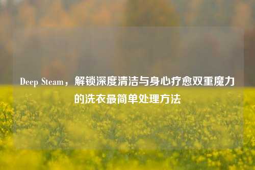 Deep Steam,解锁深度清洁与身心疗愈双重魔力的洗衣最简单处理方法