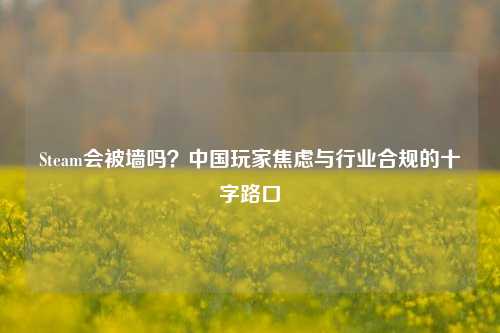 Steam会被墙吗？中国玩家焦虑与行业合规的十字路口