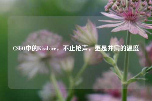 CSGO中的KissLove，不止枪声，更是并肩的温度