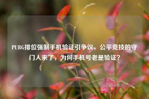 PUBG排位强制手机验证引争议,公平竞技的守门人来了,为何手机号老是验证?