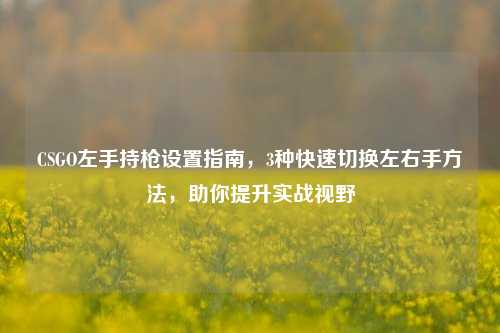 CSGO左手持枪设置指南，3种快速切换左右手方法，助你提升实战视野