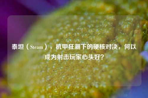 泰坦(Steam),机甲狂潮下的硬核对决,何以成为射击玩家心头好?